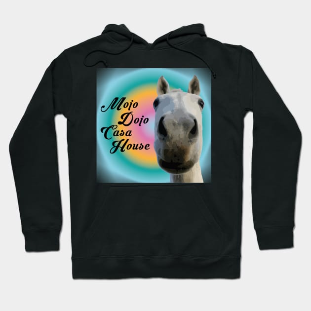 mojo dojo colorful meme Hoodie by Venus Print